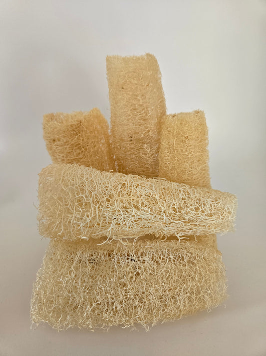 Luffa
